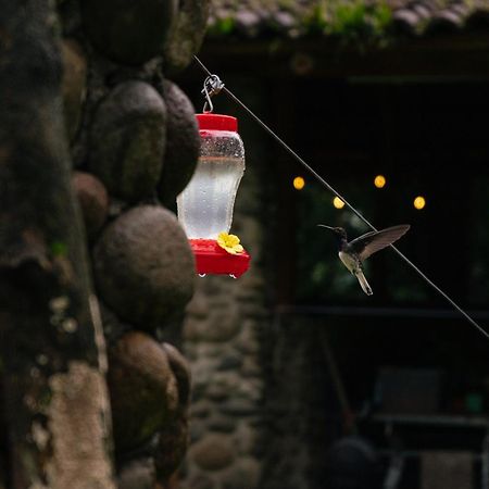 Hotel Pura Vista Glamping El Castillo Exterior foto