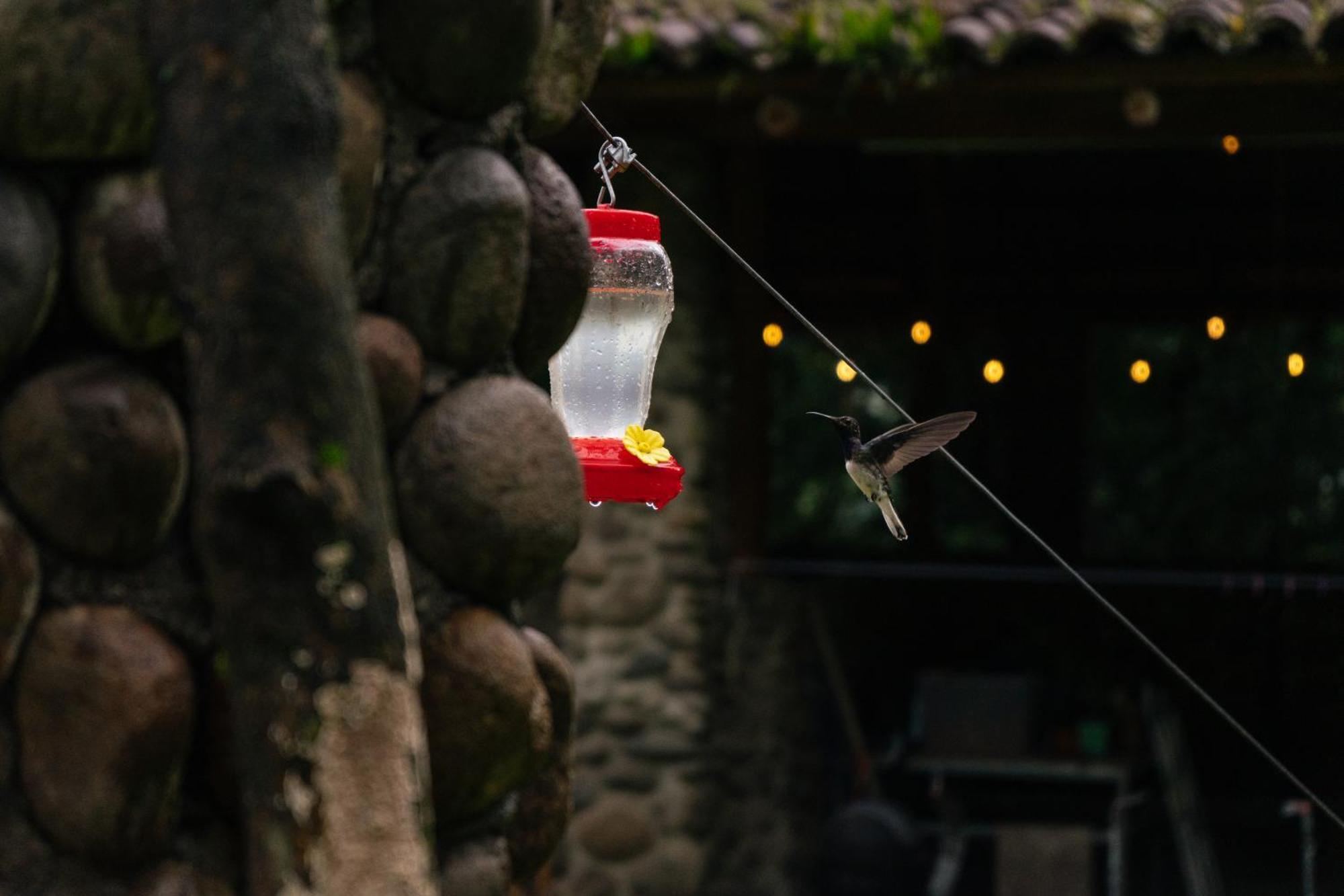 Hotel Pura Vista Glamping El Castillo Exterior foto